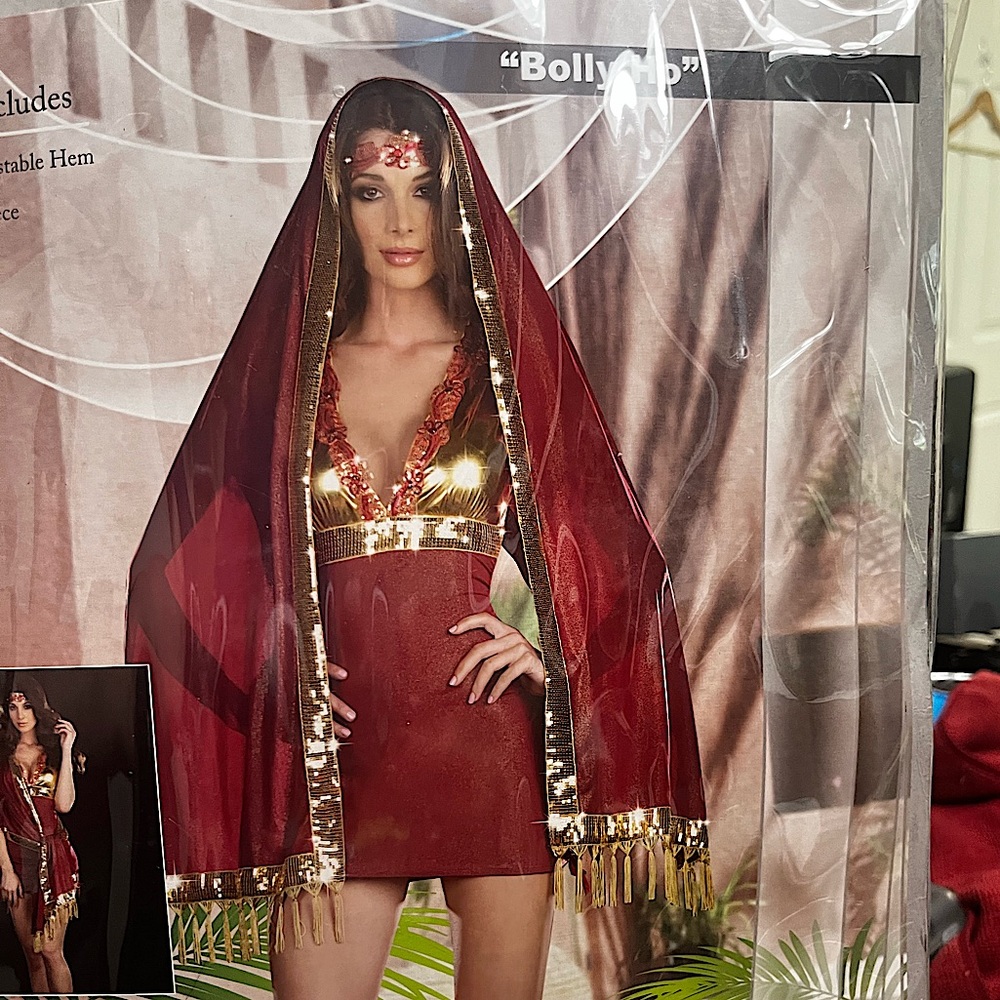 Dreamgirl Brand "Bolly Ho" costume, XL Includes dress, headpiece, and scarf.